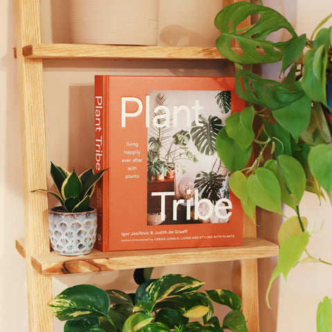 A large hard back book called 'Plant Tribe' about house plants. It has a terracotta coloured border around an image of large Monstera plants. The book sits on a decorative ladder, alongside luscious green house plants.