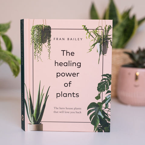 A small hard back book called 'The Healing Power of Plants'. It has a pale pink cover and house plants in each corner of the cover. The book sits in front of house plants in complimentary pink pots, one of which has a smiley face.